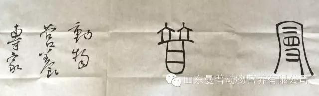 1582356245178573.jpg j1.jpg