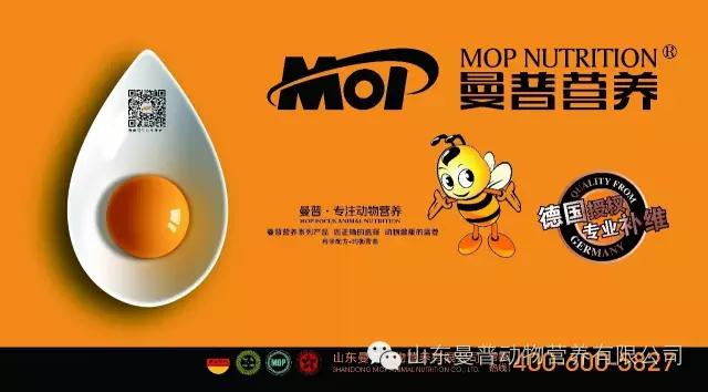 搞养殖重点抓好这两件事！