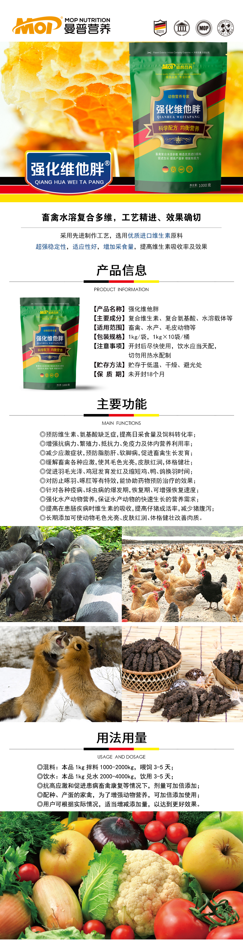轮播图—强化维他胖.jpg