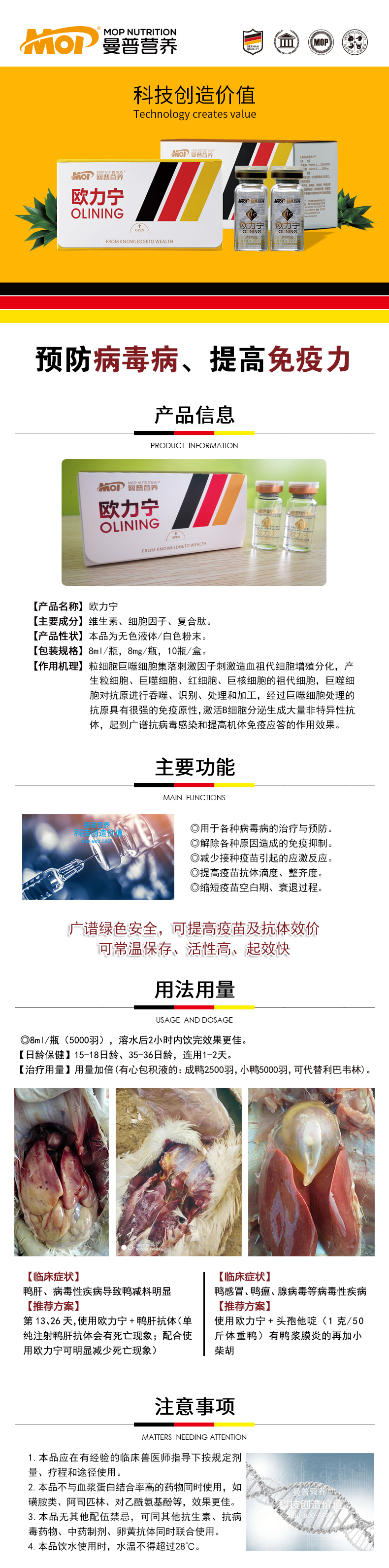轮播图-欧力宁.jpg